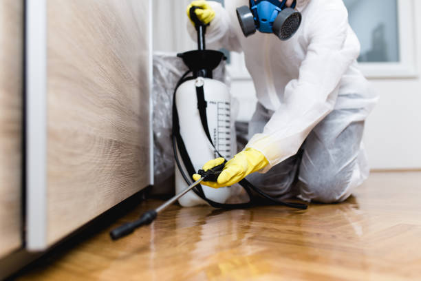 Best Affordable Pest Control Services  in Westover, WV