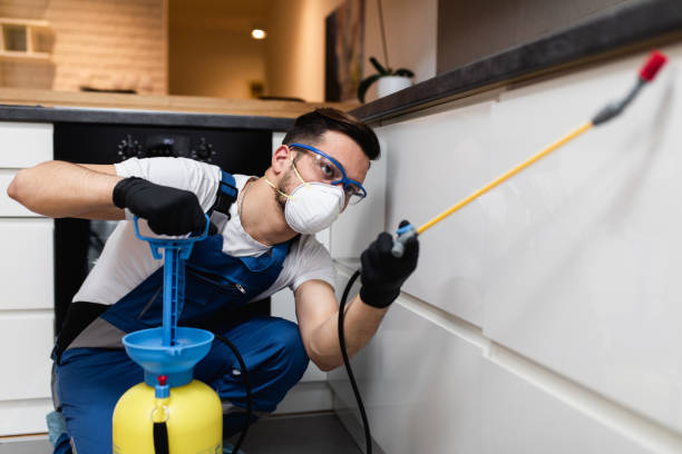 Best Affordable Pest Control Services  in Westover, WV