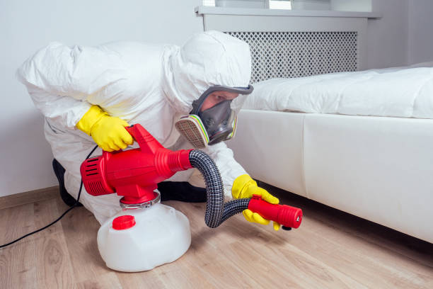 Best Flea Control Services  in Westover, WV