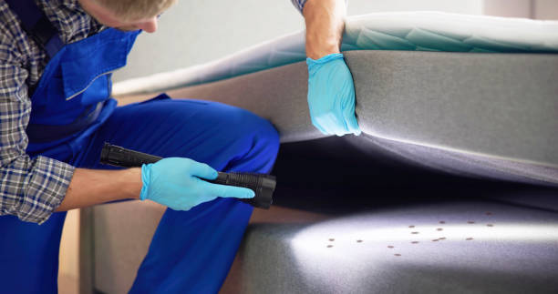 Best Pest Removal Services  in Westover, WV