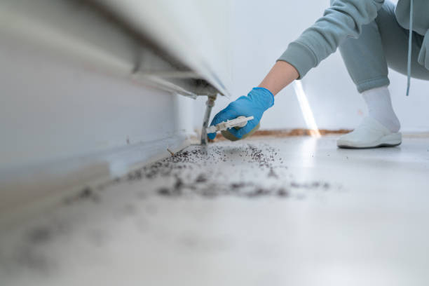 Best Pest Control for Businesses  in Westover, WV